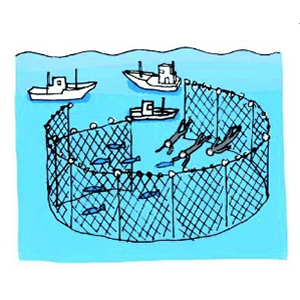 画像：縦切網漁（たてきりあみりょう）