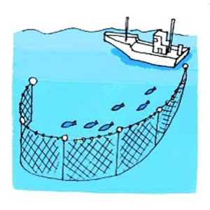 画像：刺し網漁（さしあみりょう）