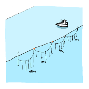 画像：延縄漁（はえなわりょう）