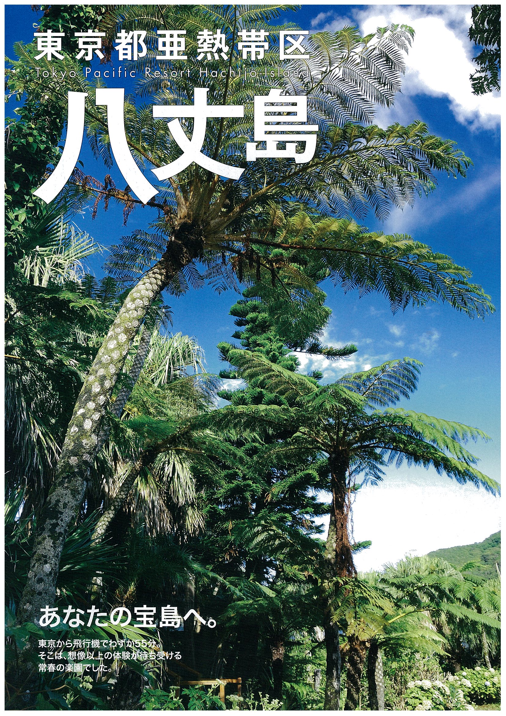 八丈島の観光ポスター「わたしの宝島」